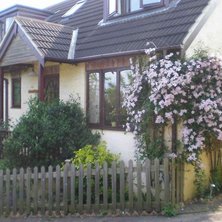Skerries B And B 莱姆里吉斯 外观 照片