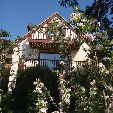 Skerries B And B 莱姆里吉斯 外观 照片